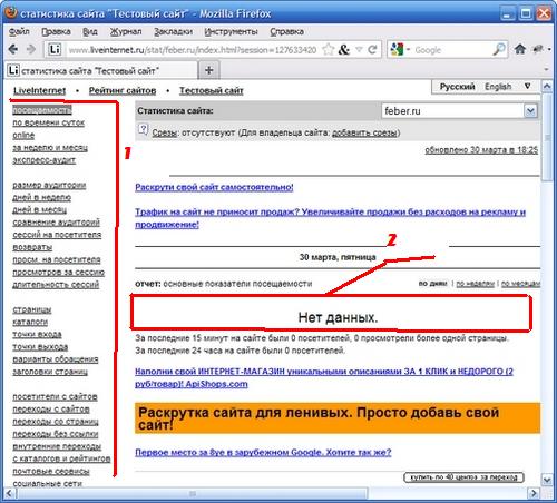 Так выглядит статистика посещений liveinternet